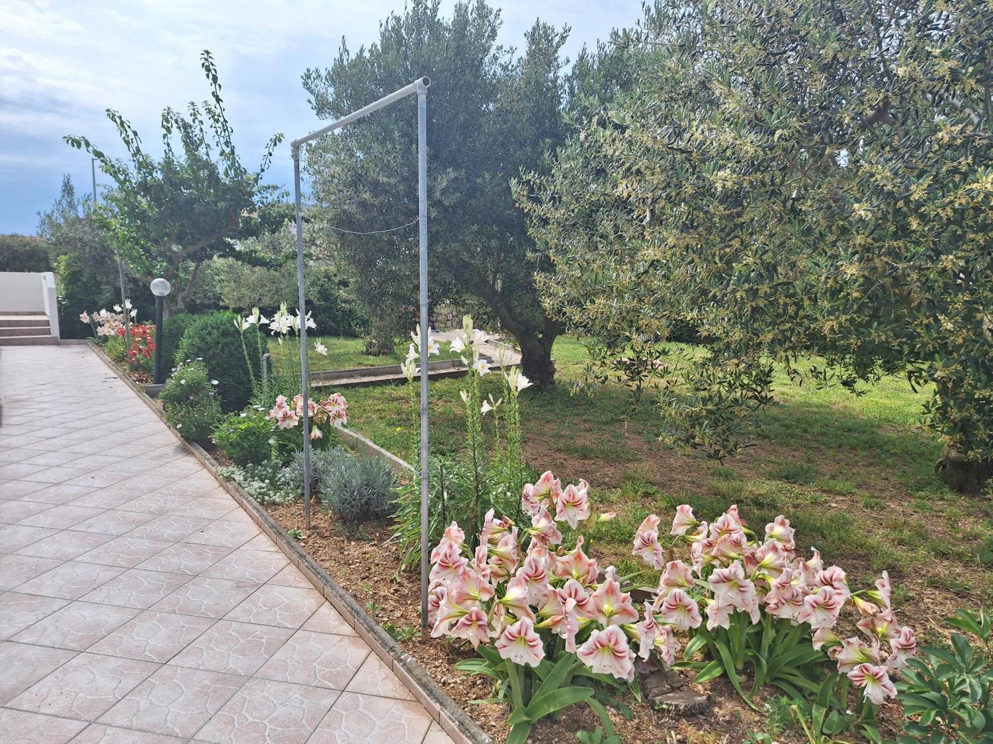 Apartments Donadic I, Caska نوفاليا المظهر الخارجي الصورة