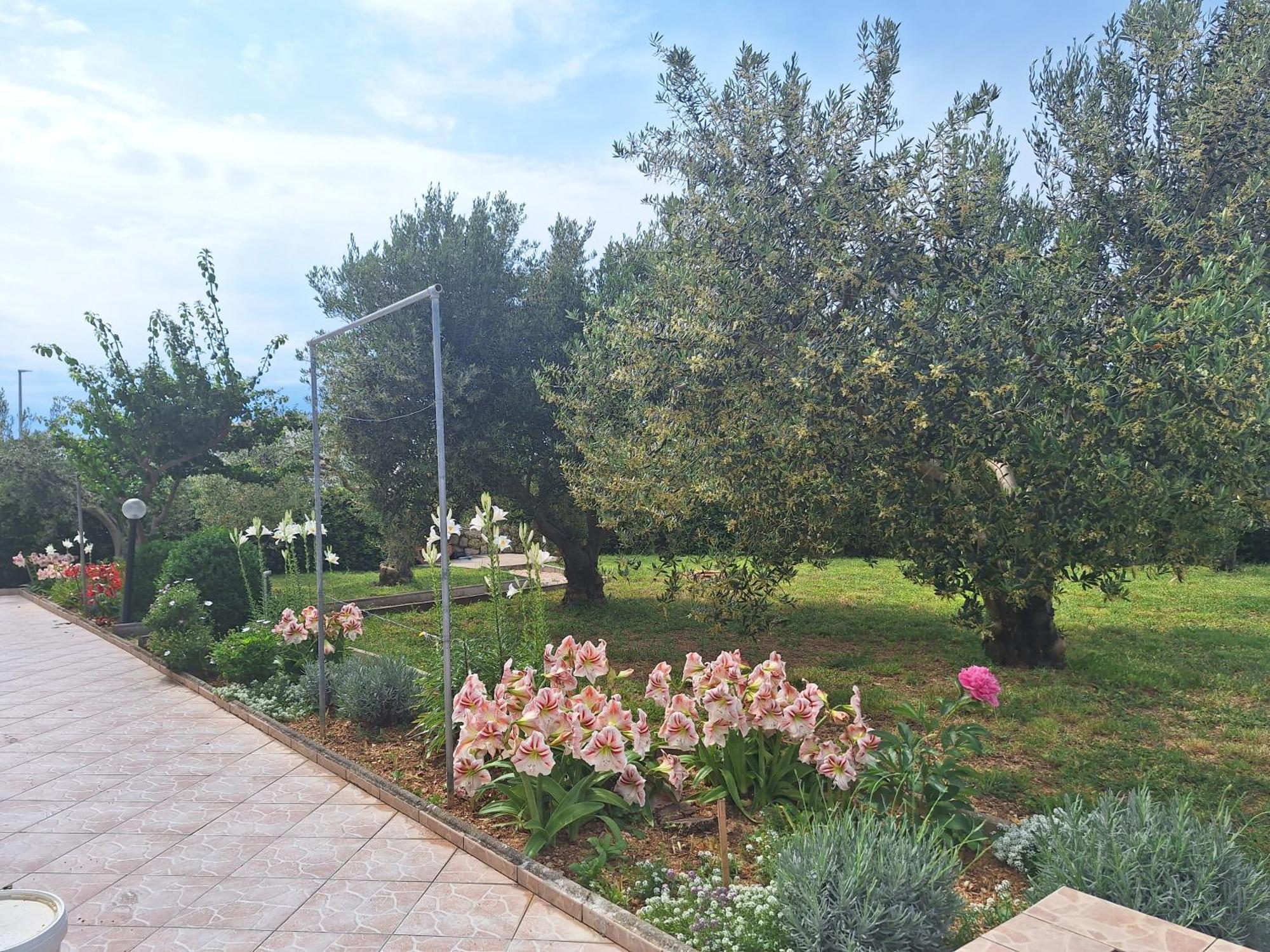 Apartments Donadic I, Caska نوفاليا المظهر الخارجي الصورة